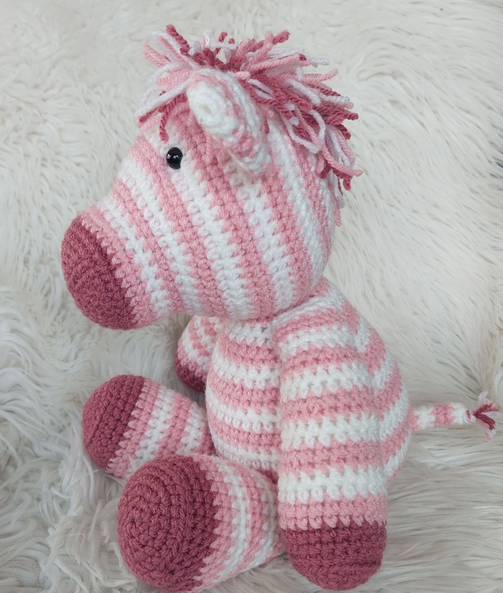 Zebra – photo 2